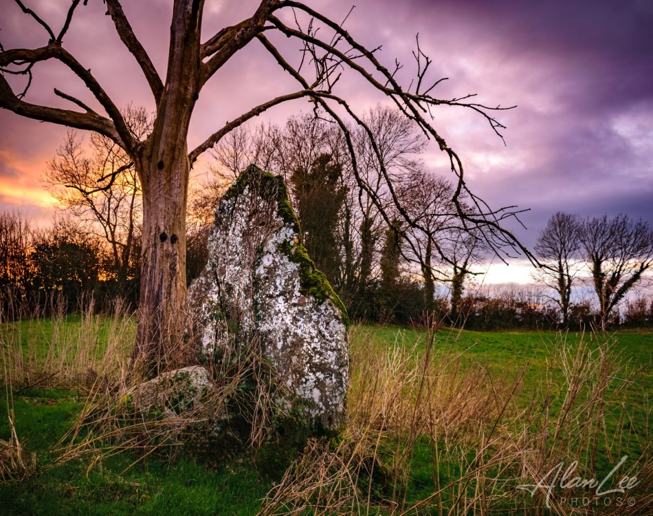 Cartronbrack-Standing-Stone---Alan-Lee-photo-Copy null