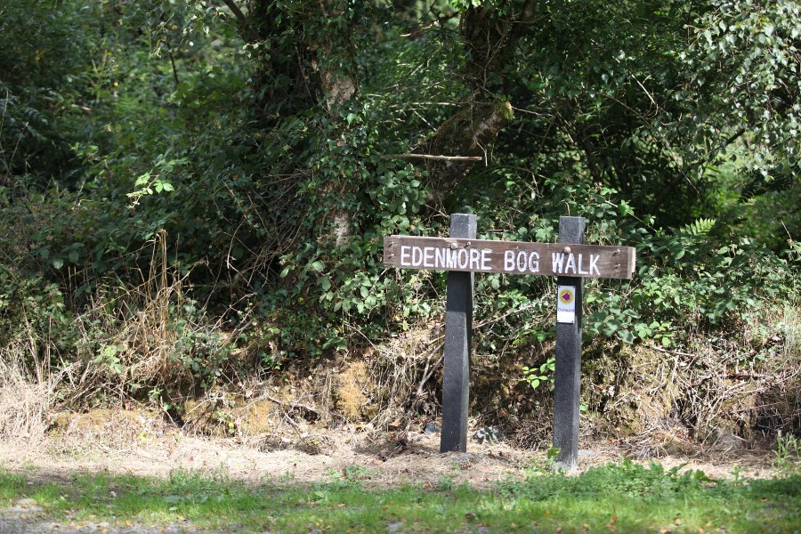 longofrd003 null