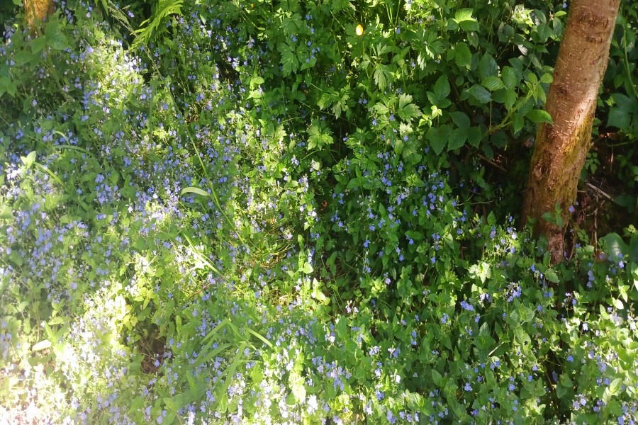 20230531_110931 null