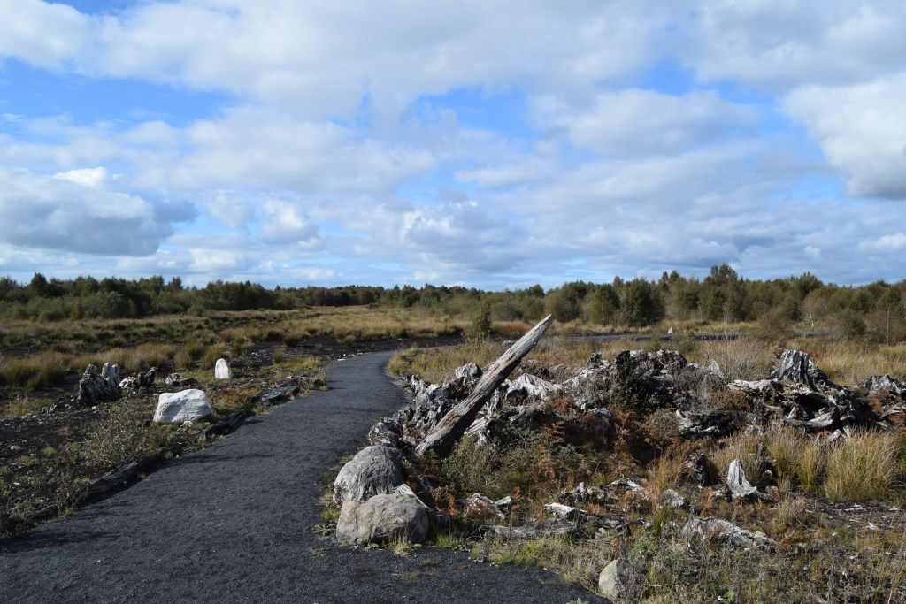 DSC_0136 DSC_0136
