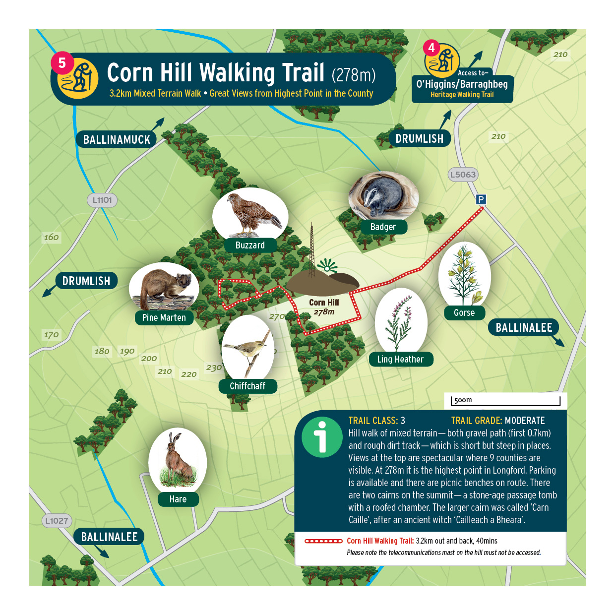 LONG-CornHill LONG-CornHill