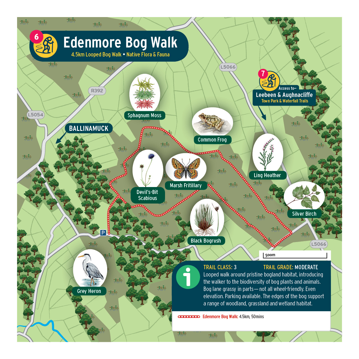 LONG-Edenmore-Copy-1 LONG-Edenmore-Copy-1