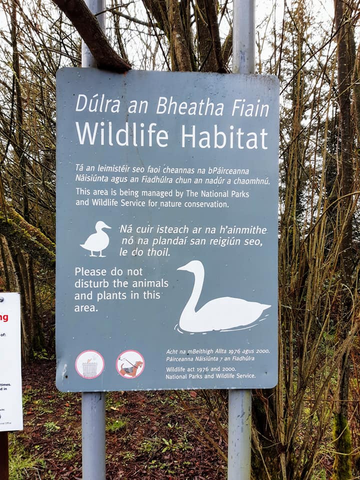 wildlife wildlife