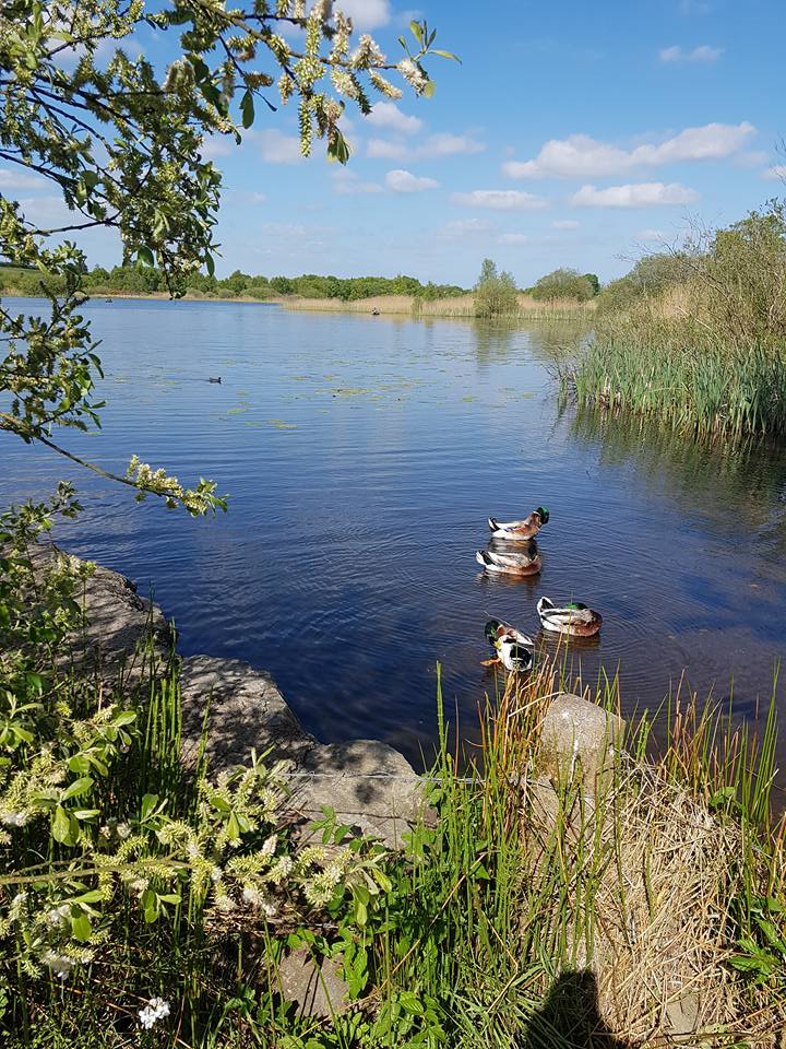lake lake
