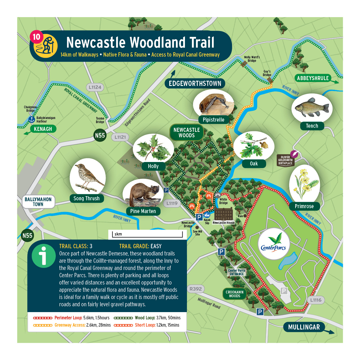 LONG-Newcastle LONG-Newcastle