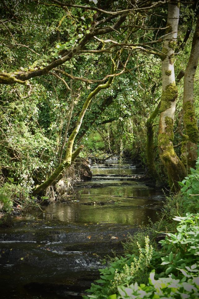 river-walk river-walk