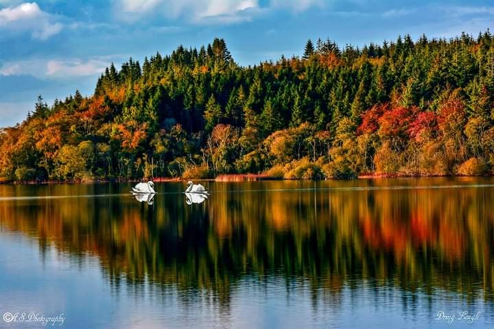 Dring-Lake----Antonio-Simoe-pic-FB Dring-Lake----Antonio-Simoe-pic-FB